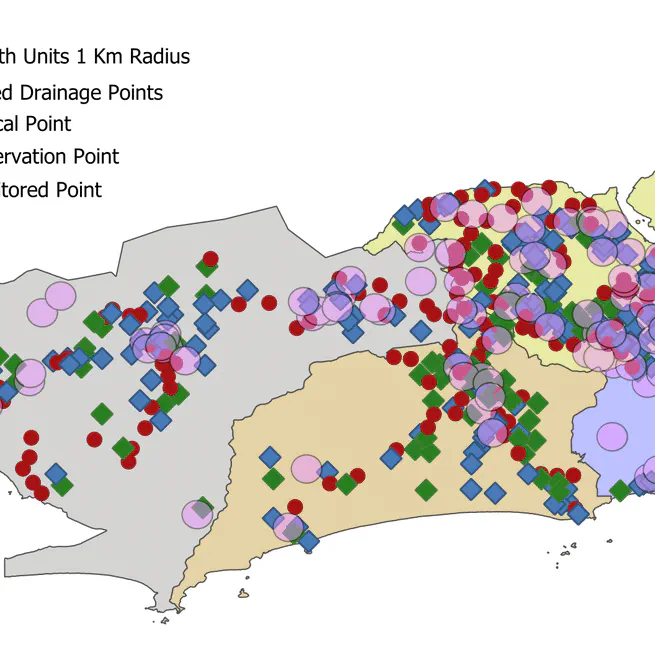 The Impact of High-Intensity Rains on Neonatal Health