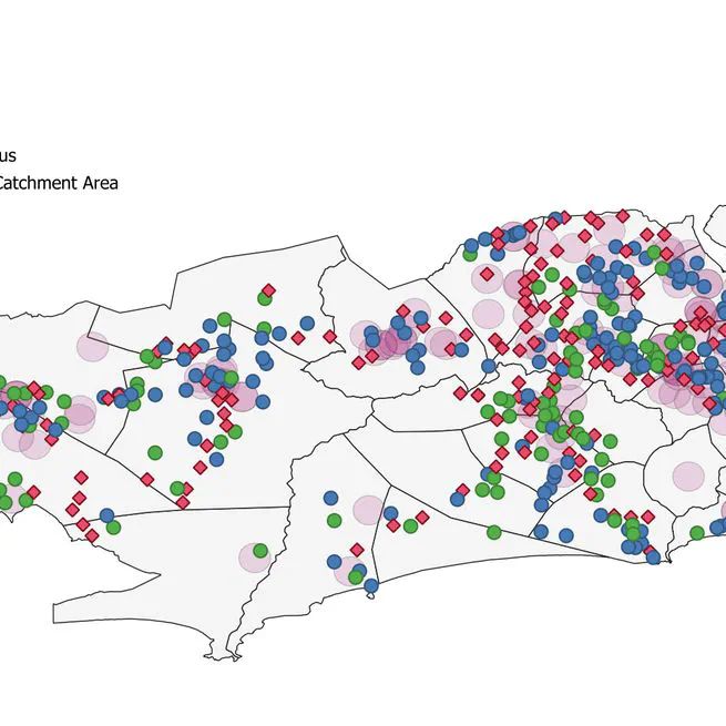 Urban Resilience to Weather: The Impacts of Rainstorms on Neonatal Health
